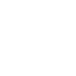 Bogner