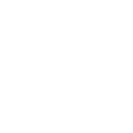 Buddha to Buddha