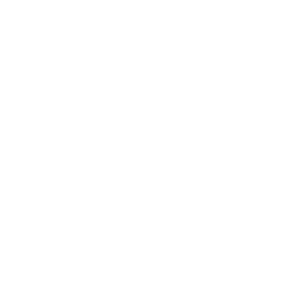 Castell Miquel