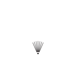 Nasch