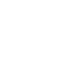 Skiny