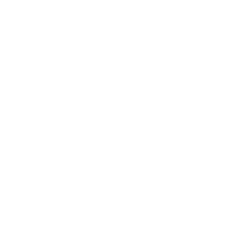 Sloggi